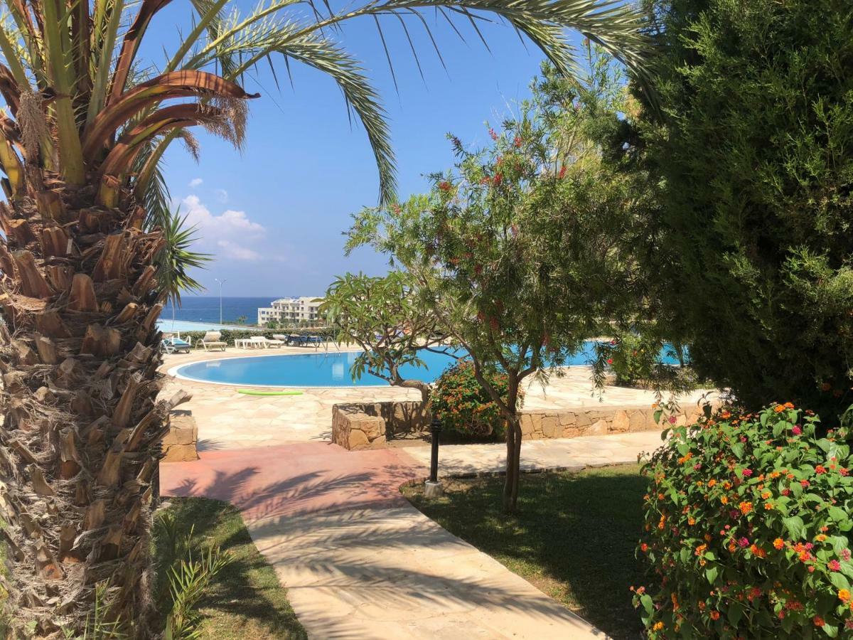 Kings Palace - Fabulous Pool-Side 2 Bed Apartment Paphos Eksteriør bilde