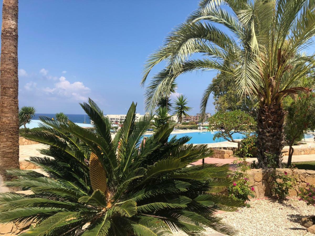 Kings Palace - Fabulous Pool-Side 2 Bed Apartment Paphos Eksteriør bilde